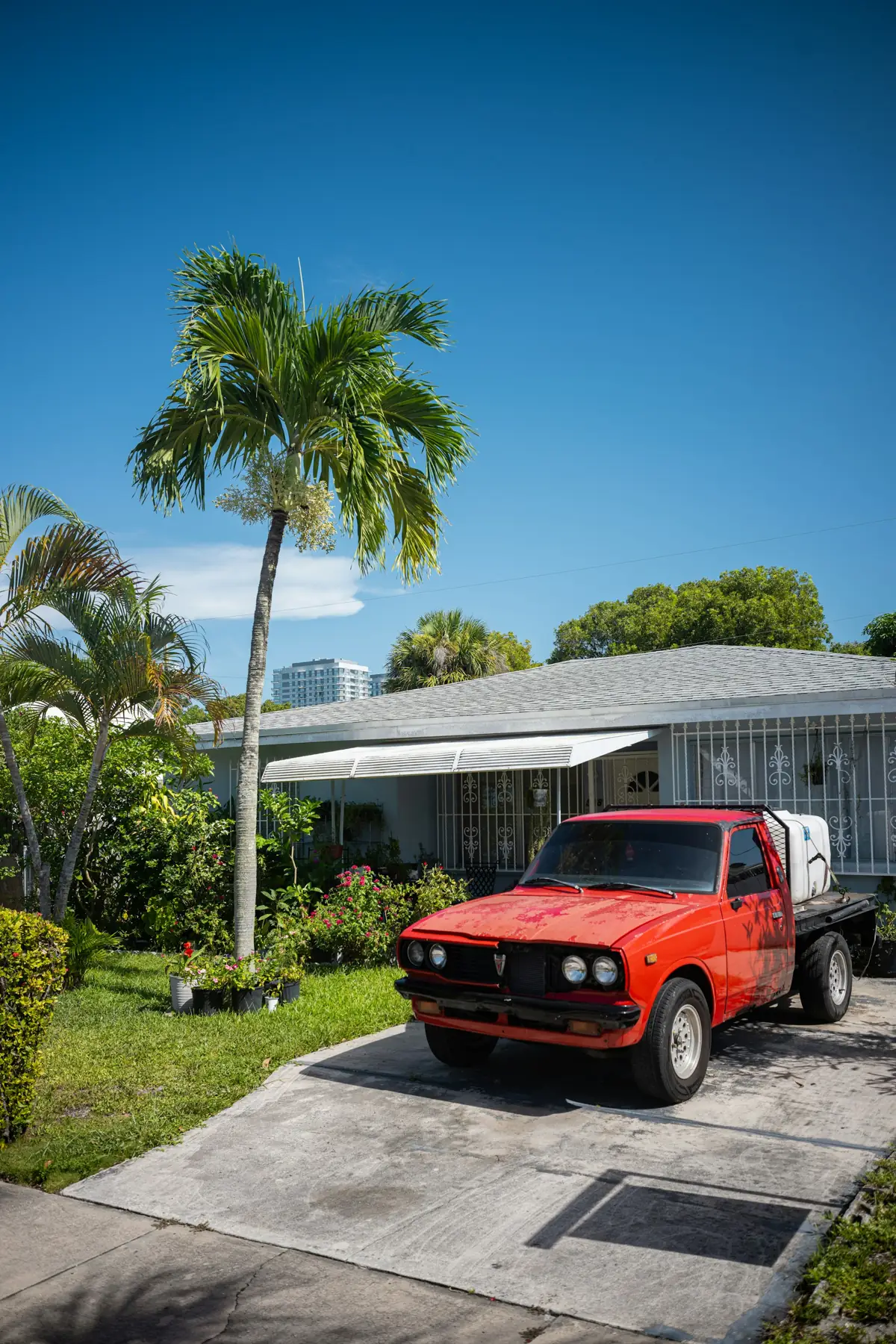 A Florida ranch house with a palm tree and a pickup truck in the driveway